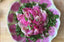 Watermelon Radishes & Parsley