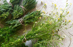 How to Dry Fresh Herbs