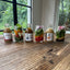 Back to School Mason Jar Salads
